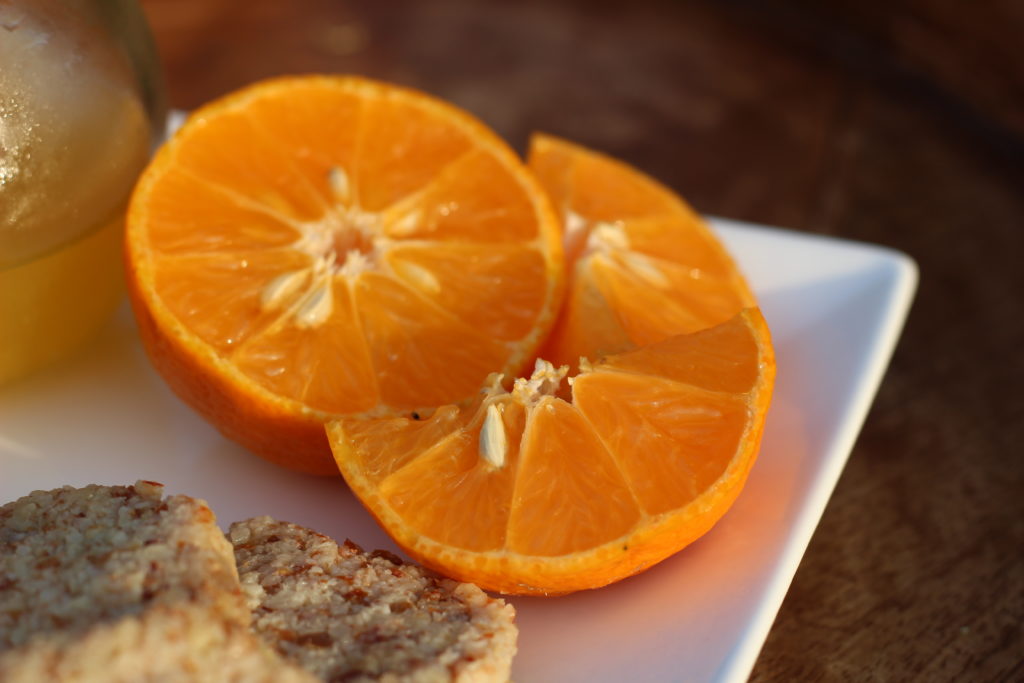 Sour Orange Cookies Raw Vegan Plant Based Dessert